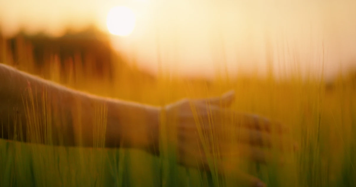 HAPPY VIBES UNDER THE SUN